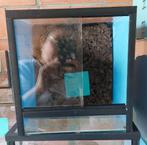 Terrarium 25x25x25, Ophalen, Zo goed als nieuw, Terrarium of Paludarium