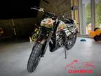 FB Mondial Flat track 125cc, Motos, Entreprise, Fb Mondial, 1 cylindre, 125 cm³