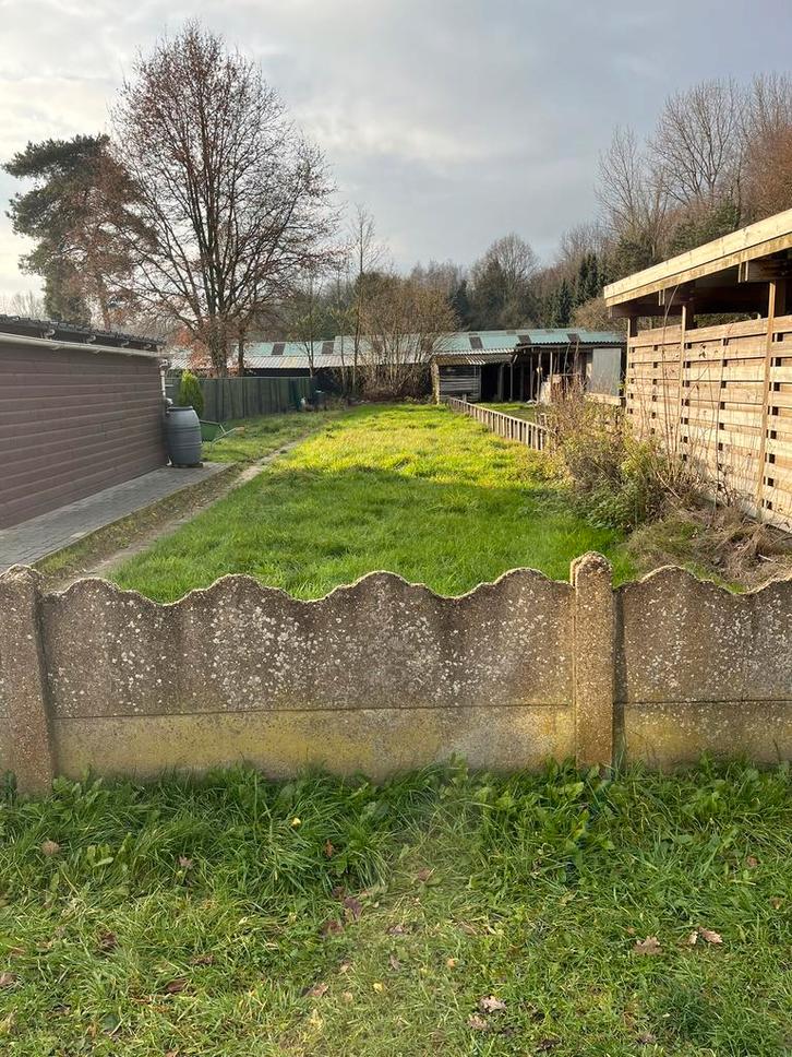 Grote Woning in Korte Kwikstraat Beerse  3 grote slaapkamers, Dieren en Toebehoren, Stalling en Weidegang