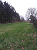 Weide te huur met stal + opslagruimte te Lanaken (Gellik), Dieren en Toebehoren, Stalling en Weidegang