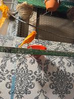 Rode kanarie …15€ mannen, Dieren en Toebehoren, Vogels | Kanaries, Mannelijk