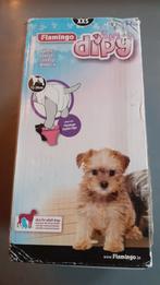 Boites avec 11 couches xxs pour chienne, Enlèvement ou Envoi