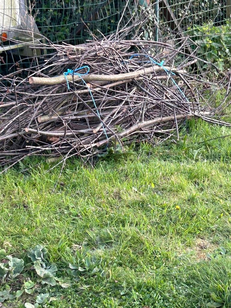 GRATIS: brandhout, Ophalen, Takken