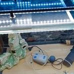 URGENT VEND AQUARIUM. L 120 x l 40 x H 50, Enlèvement, Comme neuf, Aquarium vide