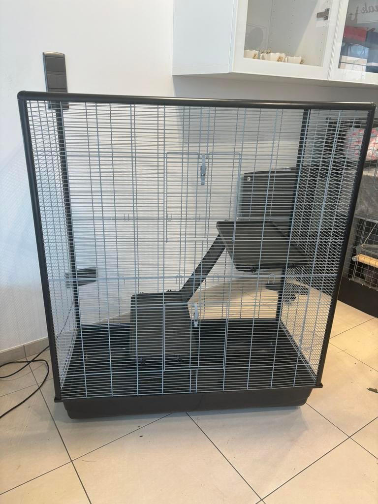 Cache rongeurs, Enlèvement, Utilisé