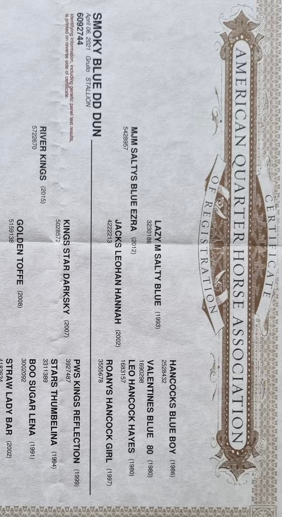 Champagne Quarter hengst ter dekking, Dieren en Toebehoren