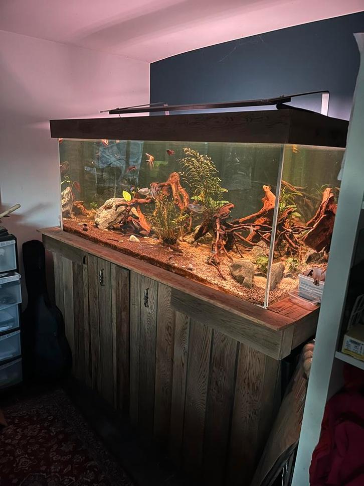Groot custom aquarium tekoop, kijk beschrijving, Dieren en Toebehoren, Vissen | Aquaria en Toebehoren, Zo goed als nieuw, Decoratie