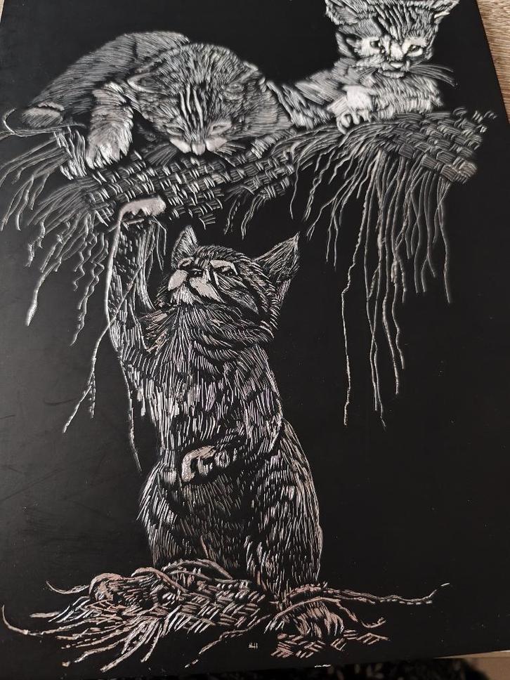 Gravure à décorer., Collections, Photos & Gravures, Comme neuf, Gravure, Animal, 1980 à nos jours, Enlèvement