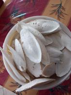 Os de seiche zeeschuim
Disponible à 1080 Bruxelles près du b, Enlèvement