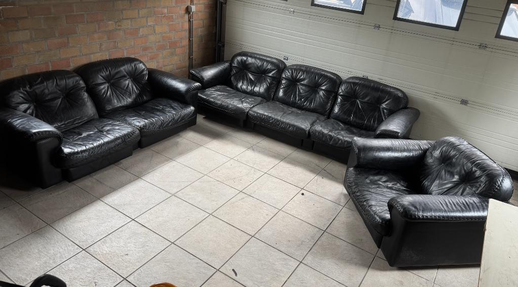 De Sede DS- 101 salon (3-zit, 2-zit en 1-zit), Ophalen, Leer