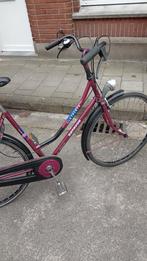 Batavus, Enlèvement