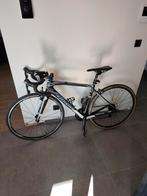 Wilier Triestina GTR Team Ultegra, 28 inch, Gebruikt, Carbon, Heren