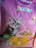 kattenbrokken, Enlèvement ou Envoi, Chat