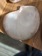 Coquillage nacré, Ophalen