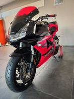 Honda Cbr 954 rr, Entreprise