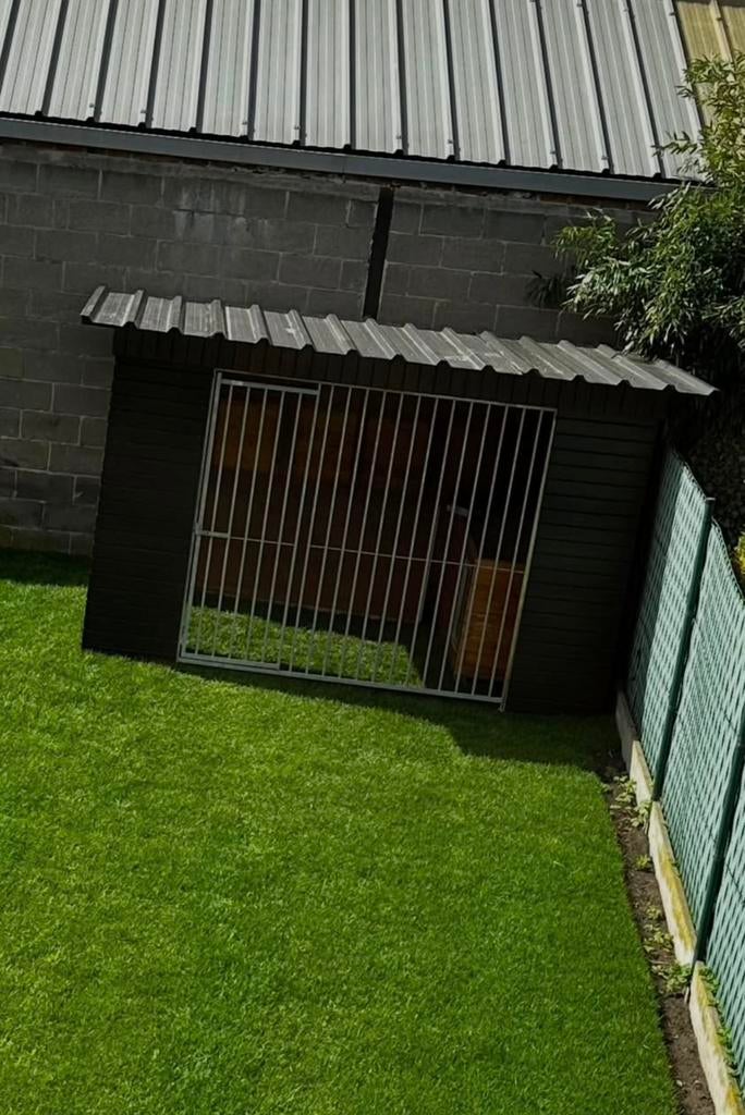 Course pour chiens, chats et chiens, Enlèvement, Comme neuf