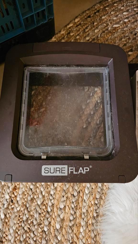 XL-kattenluik - Sure Flap - automatisch te openen, Dieren en Toebehoren, Katten-accessoires, Zo goed als nieuw, Ophalen of Verzenden