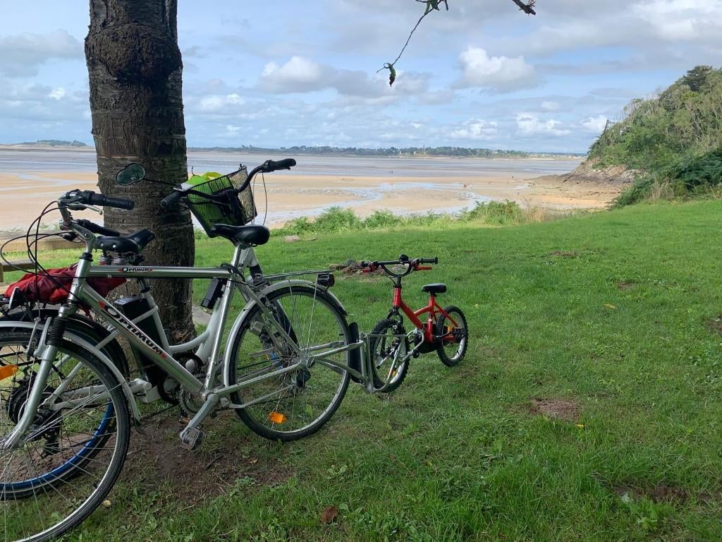 Follow me, Vélos & Vélomoteurs, Pliable, Enlèvement, Utilisé, Autres types