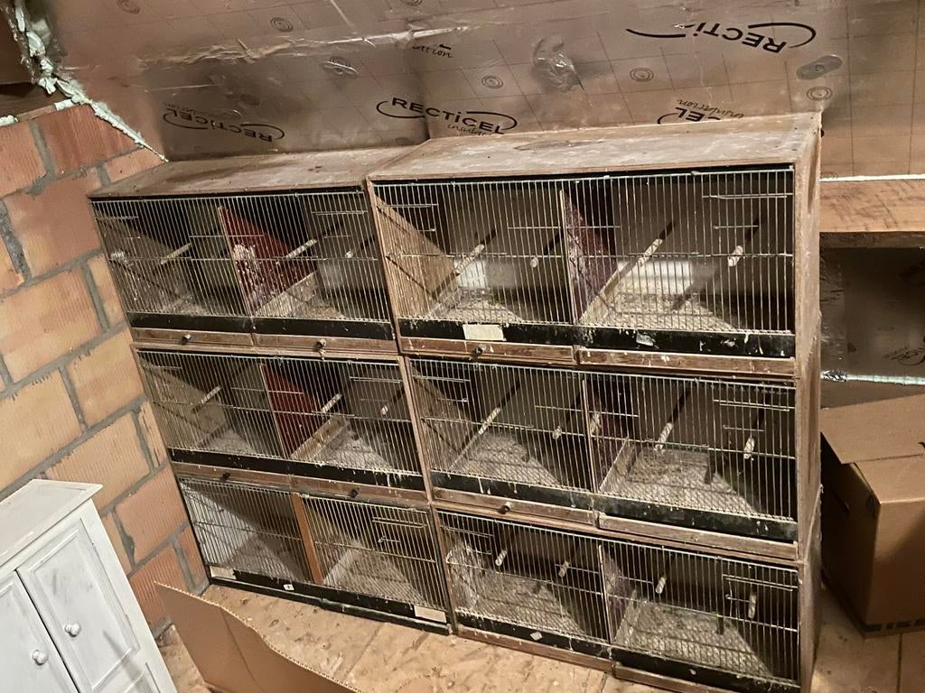 Cages d'élevage, Animaux & Accessoires, Enlèvement, Utilisé