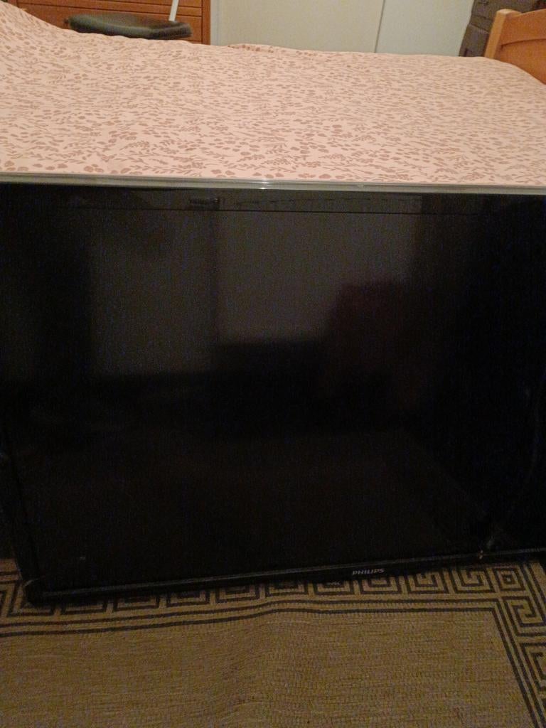 Tv Philips 1,10 m, Ophalen, Gebruikt