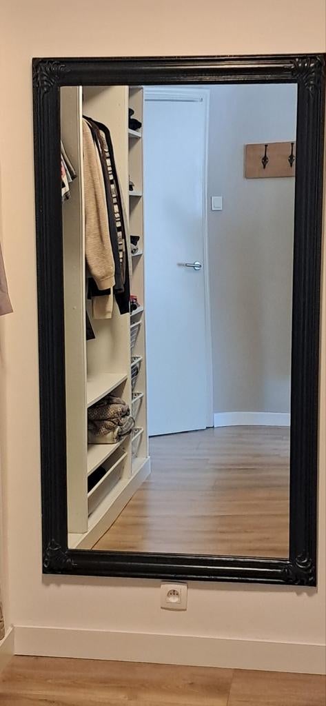 Grote spiegel 155 x 84 cm, Enlèvement, Utilisé, Rectangulaire