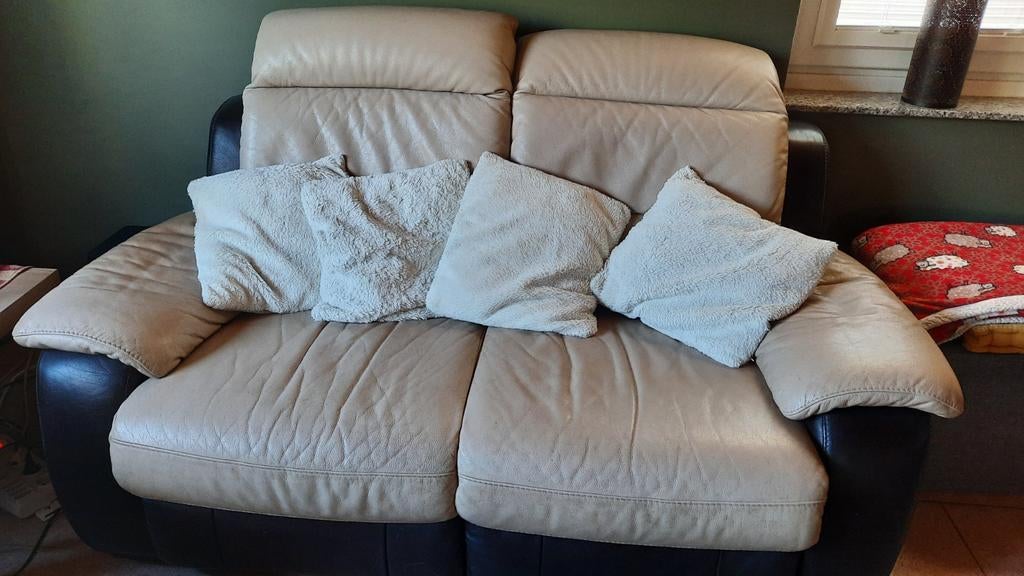 Divan en cuir 2 places, Maison & Meubles, Canapés | Salons, Enlèvement, Cuir