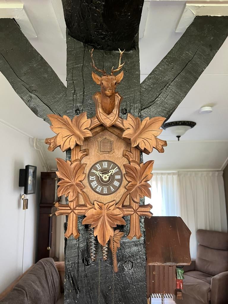 3x koekoeksklok functioneren perfect, Ophalen