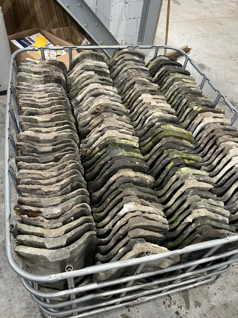 Blauwgesmoorde boomse pannen, Enlèvement, Comme neuf