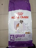 Nourriture, Enlèvement, Chien