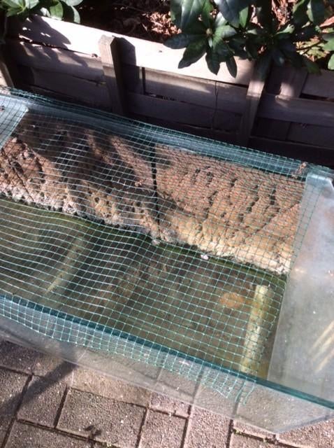 Aquarium, Dieren en Toebehoren, Ophalen, Inclusief toebehoren, Gebruikt, Leeg aquarium