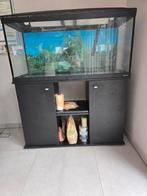 Visbak, Dieren en Toebehoren, Ophalen, Zo goed als nieuw