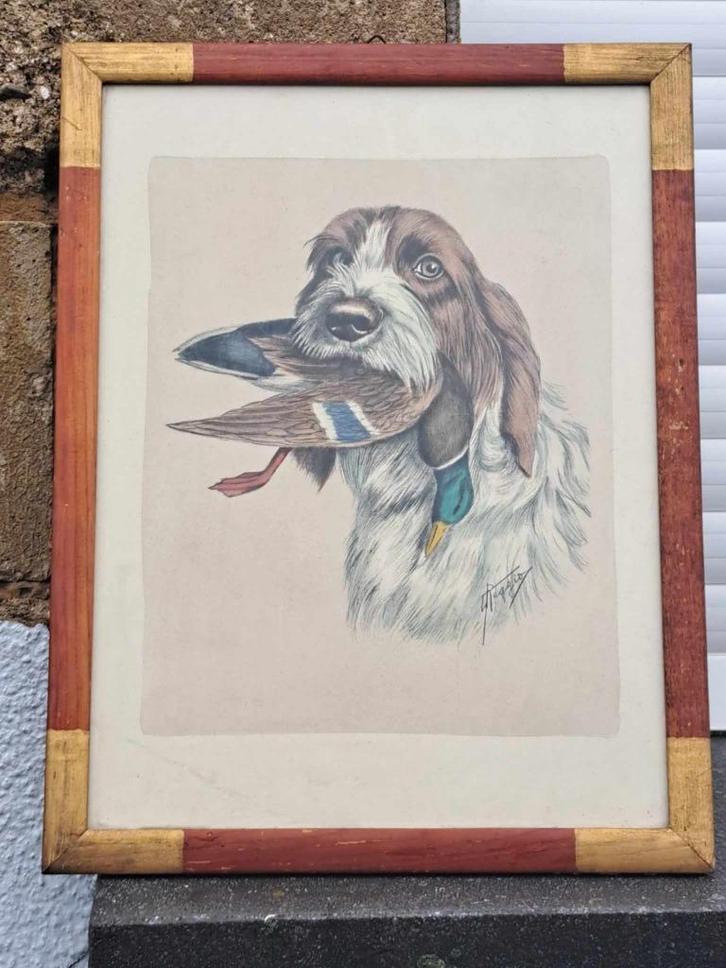 gravure chien de chasse signe reggio, Antiek en Kunst, Kunst | Etsen en Gravures, Ophalen of Verzenden