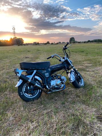 Dax 50 cc b klasse beschikbaar voor biedingen