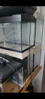 Plusieurs aquariums à vendre, Dieren en Toebehoren, Ophalen of Verzenden, Zo goed als nieuw