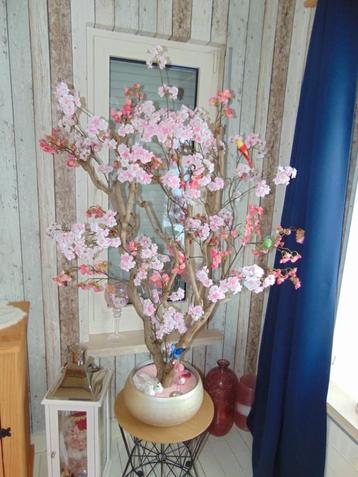 boom met bloemen beschikbaar voor biedingen