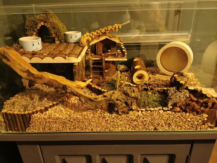 Hamsterkooi met toebehorenen, Dieren en Toebehoren, Reptielen en Amfibieën