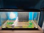 Aquarium te koop, Dieren en Toebehoren, Vissen | Aquaria en Toebehoren, Ophalen, Zo goed als nieuw