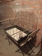 Groot mooi vogelkooi, Ophalen of Verzenden, Gebruikt, Vogelkooi