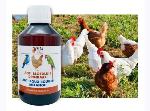 Anti Bloedluis Drinkmix 250ml Vita Vogel, Dieren en Toebehoren, Pluimvee | Toebehoren, Nieuw, Ophalen of Verzenden