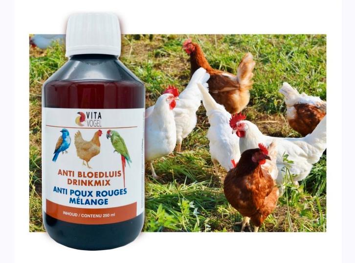 Anti Bloedluis Drinkmix 250ml Vita Vogel, Dieren en Toebehoren, Pluimvee | Toebehoren, Nieuw, Ophalen of Verzenden