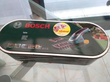 Buxusschaar Bosch