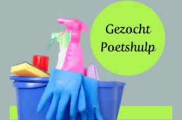 Poetsvrouw gezocht beschikbaar voor biedingen