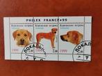 Koerillen 1999 - honden, Rhodesian ridgeback, Ophalen of Verzenden, Gestempeld, Midden-Oosten
