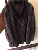 Xxxl pelsen jas, Kleding | Dames, Jassen | Winter, Ophalen, Gedragen, Maat 46/48 (XL) of groter