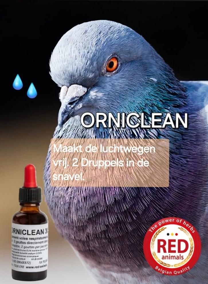 Orniclean 30ml, Maakt De Luchtwegen Vrij, Red Animals, Dieren en Toebehoren, Overige Dieren-accessoires, Ophalen
