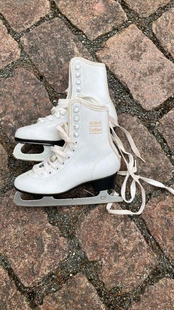 Kunstschaatsen beschikbaar voor biedingen