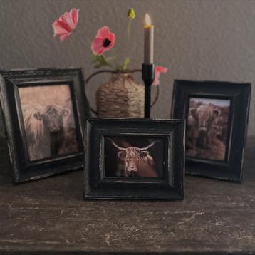 Fotolijst antiqueblack hooglander beschikbaar voor biedingen