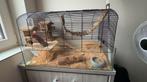 Hamsterkooi te koop! ECHT GLAS, Dieren en Toebehoren, Ophalen, Zo goed als nieuw
