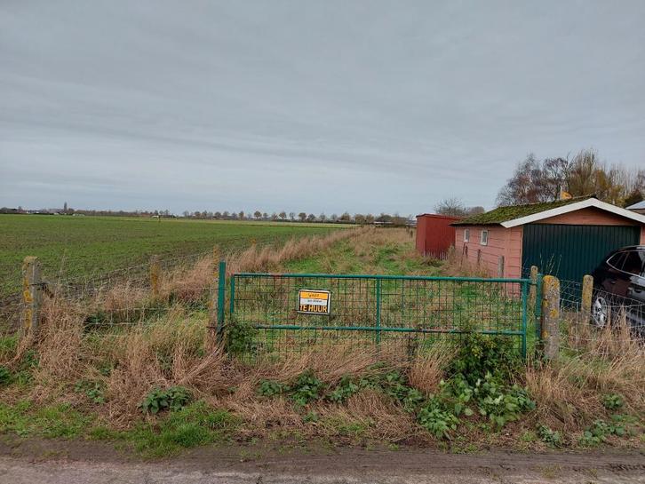 Te huur weide Vladslo, Gentweg, Animaux & Accessoires, Box & Pâturages, Mise à l'étable