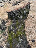 Schors van eiken bomen, Dieren en Toebehoren, Reptielen en Amfibieën, Schildpad